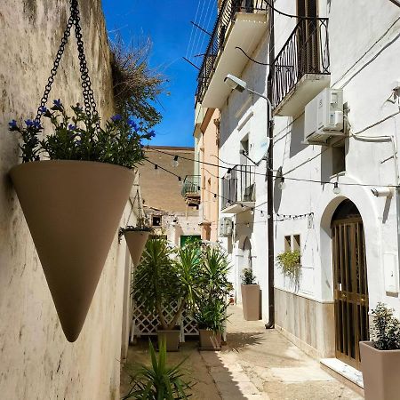 Blue Moon Bed & Breakfast Spinazzola Exterior foto