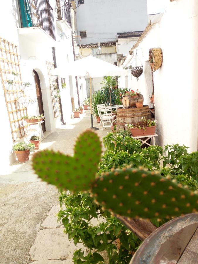 Blue Moon Bed & Breakfast Spinazzola Exterior foto