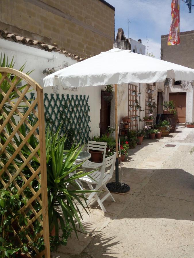 Blue Moon Bed & Breakfast Spinazzola Exterior foto