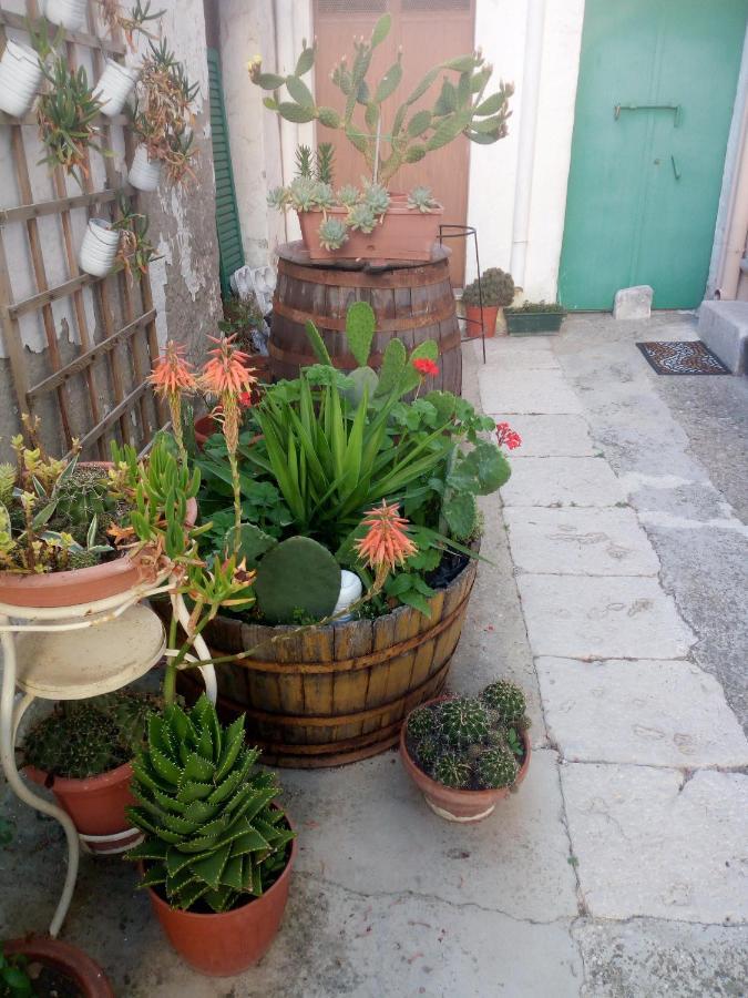 Blue Moon Bed & Breakfast Spinazzola Exterior foto