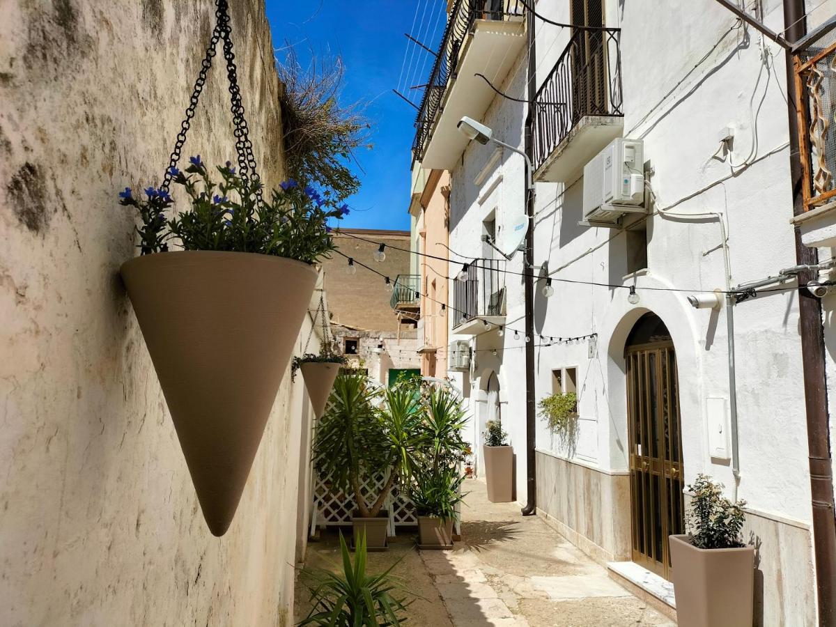 Blue Moon Bed & Breakfast Spinazzola Exterior foto