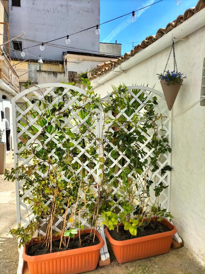 Blue Moon Bed & Breakfast Spinazzola Exterior foto
